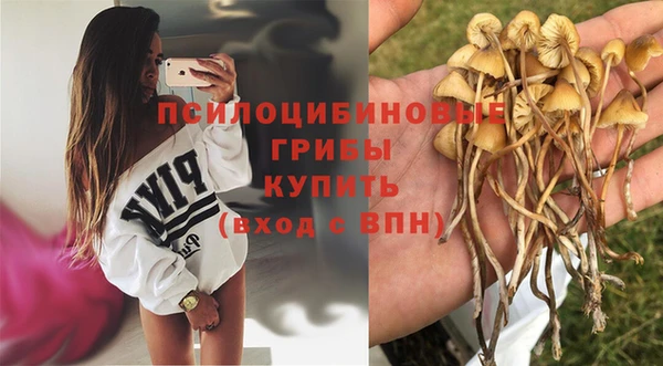 экстази Осташков