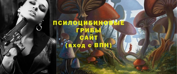 бошки Абдулино