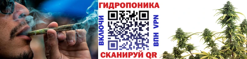 Шишки марихуана план  кракен онион  Южноуральск  хочу наркоту 